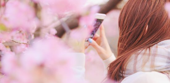 桜と女の子画像